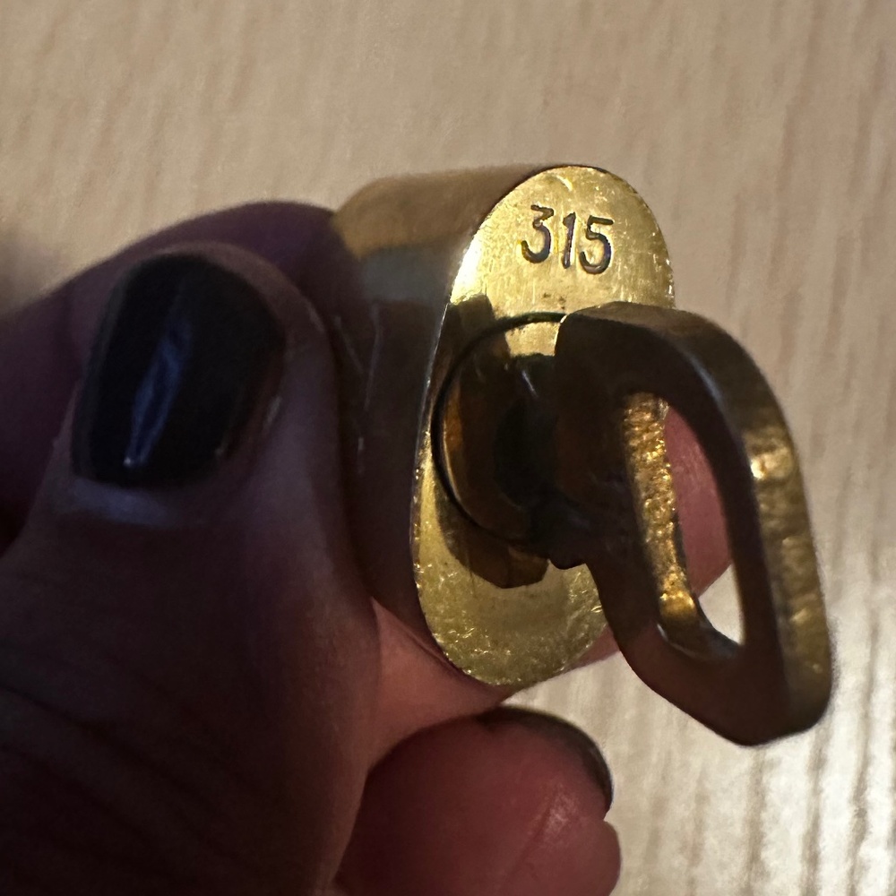 Louis Vuitton Lock and Key #315 🔐 - Picture 6 of 6